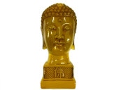 ʩ ̪  ʪ ƥꥢ Ɀ徺