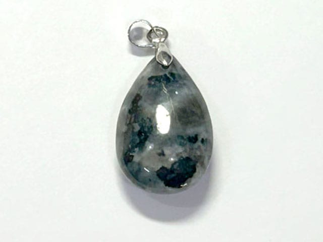 ����ǥ������֥� �������� �ڥ����ȥȥå� ŷ����