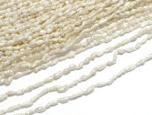 ø��ѡ��� ��2��3mm �ۥ磻�� �饤���� Ϣ���� ���� �ѡ��� ���������꡼�ѡ���