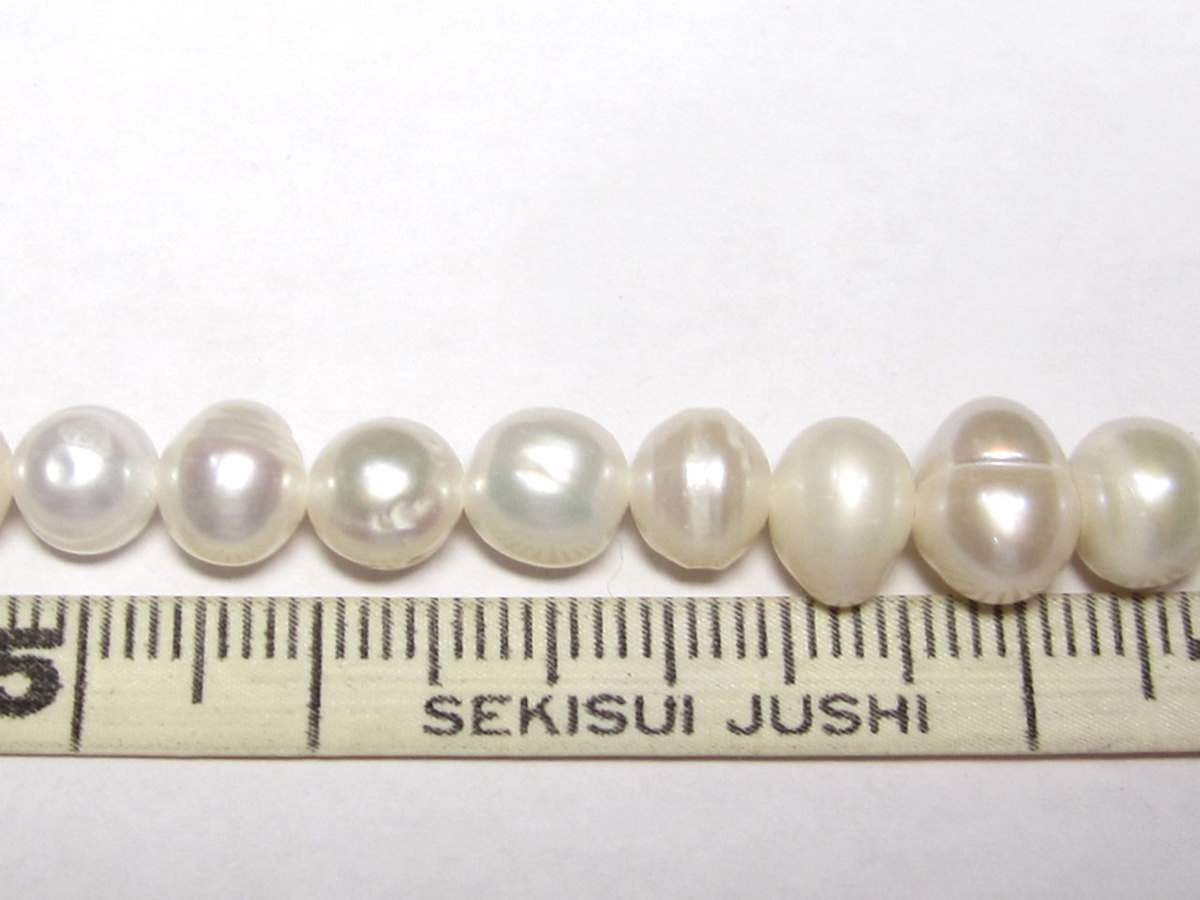 øѡ ݥƥ ۥ磻 78mm Ϣ (ø忿) ӡ ѥȡ  ꡼ѡ