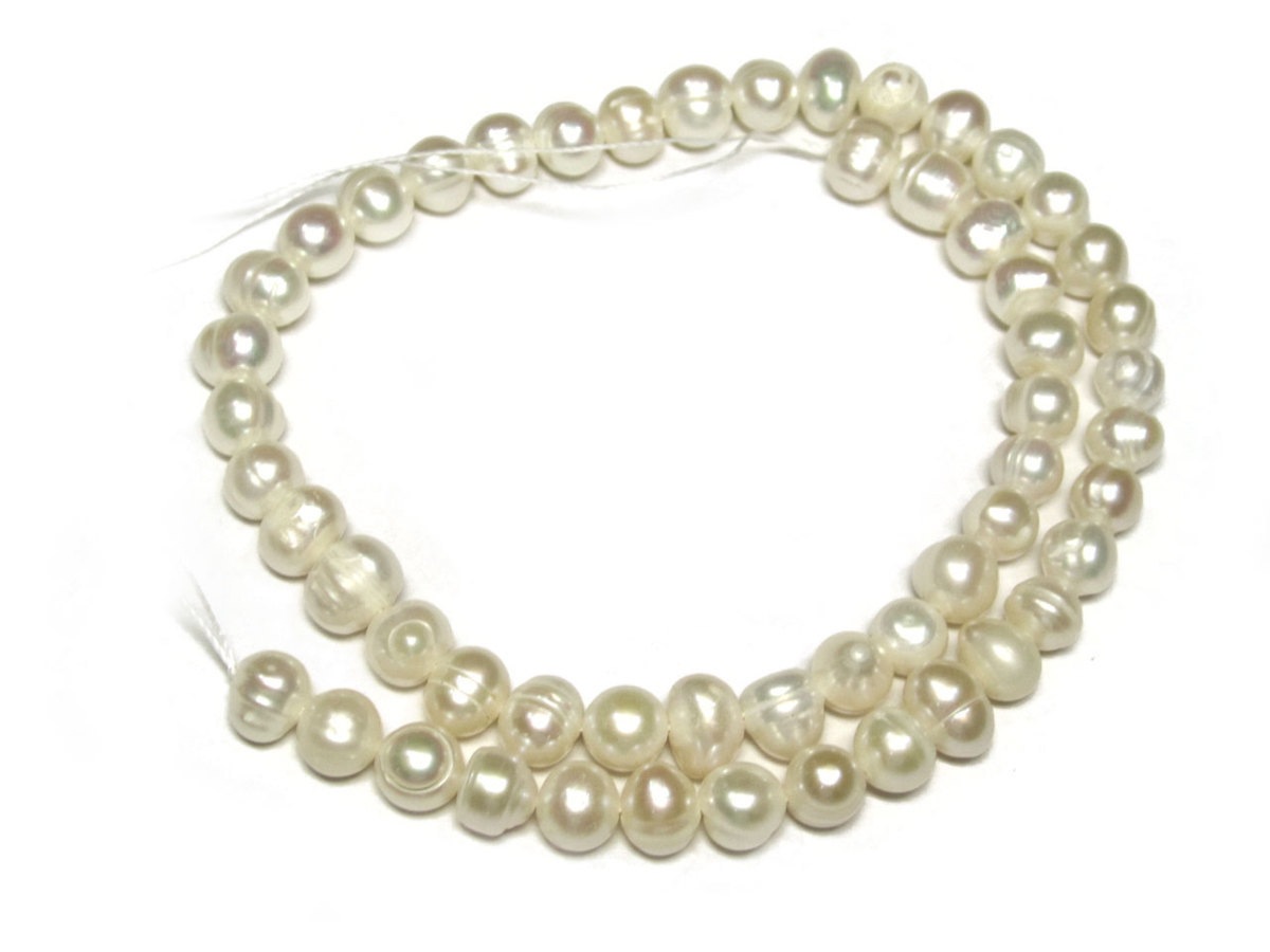 øѡ ݥƥ ۥ磻 78mm Ϣ (ø忿) ӡ ѥȡ  ꡼ѡ