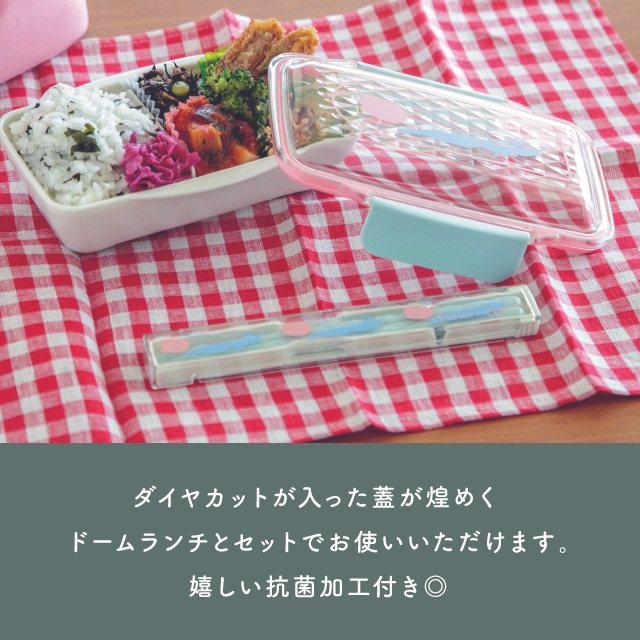 箸&箸ケース TODAY'S PLANTS トゥデイズプランツ