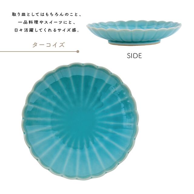 【完売】小皿 菊三彩 きくさんさい
