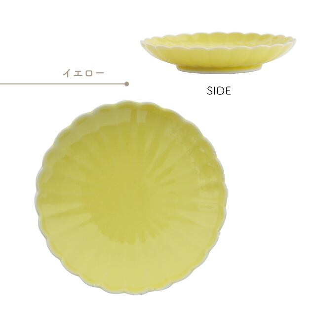 【完売】小皿 菊三彩 きくさんさい