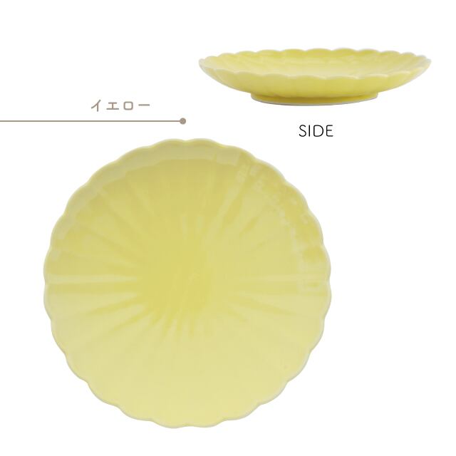 【完売】大皿 菊三彩 きくさんさい