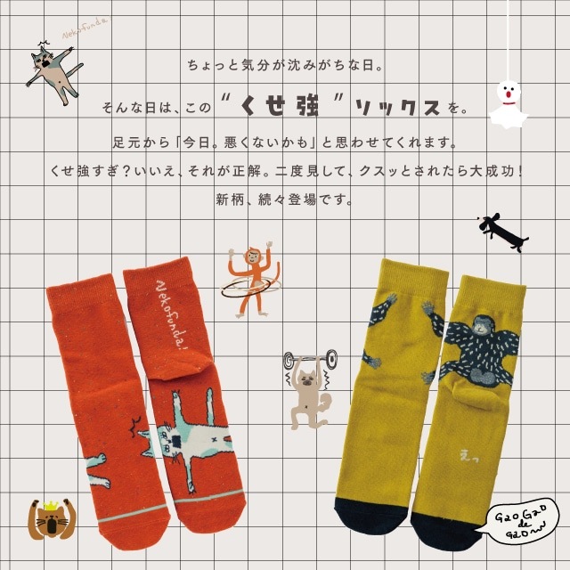 1Pソックス くせ強 ソックス