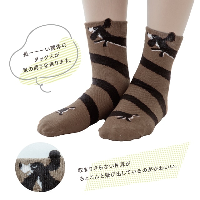 1Pソックス くせ強 ソックス