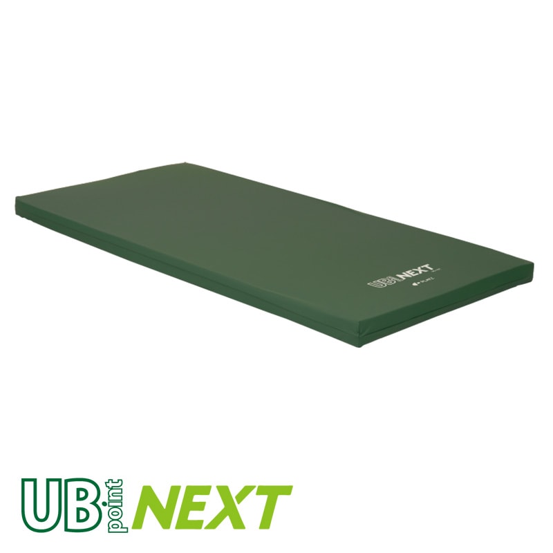 業務用 サラケアパッド ビッグ/18081→18300 30枚 業務用 サラケアパッド ビッグ⁄18081→18300 30枚