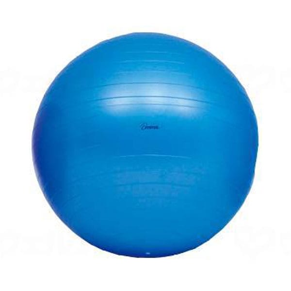 ボディーボール 青 65cm （中） ｜ フィットネス・リハビリ関連