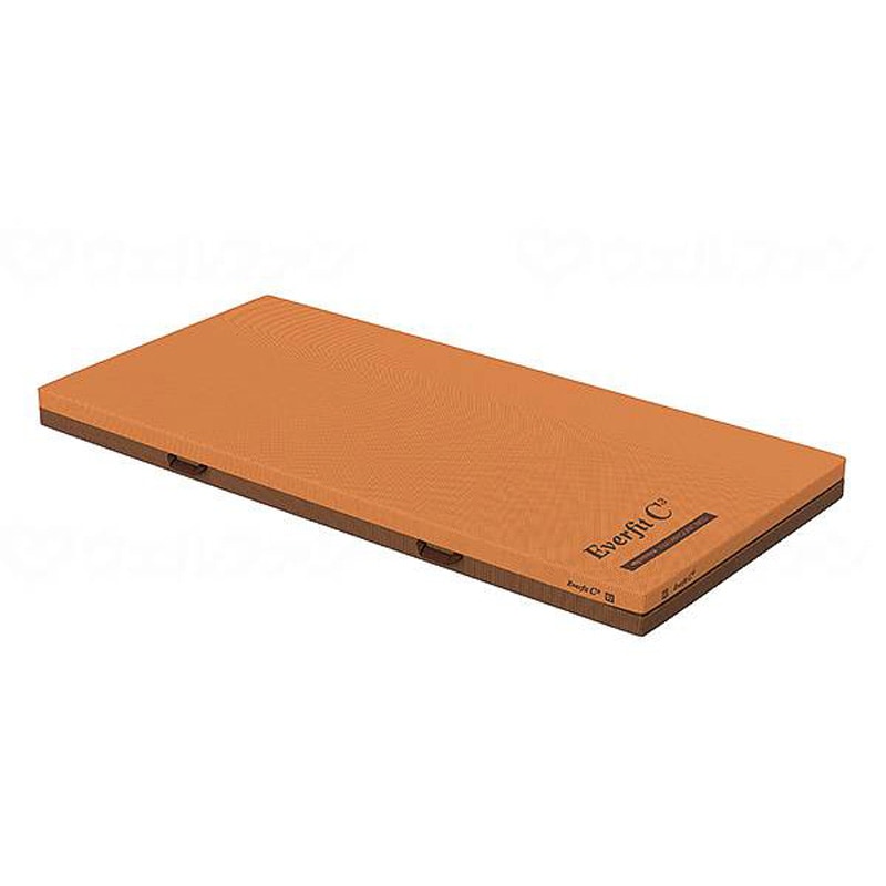 パラマウントベッド】静止型体圧分散マットレス エバープラウド