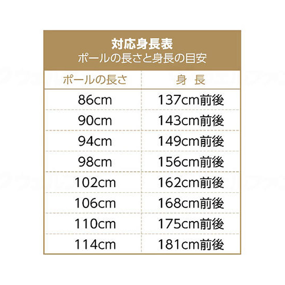 【母の日クーポン対象】もっと安心2本杖（２本組）
