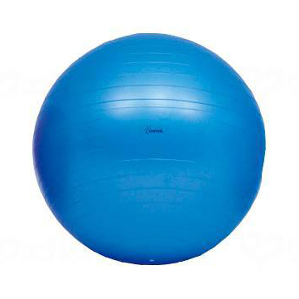 ボディーボール 青 65cm （中）