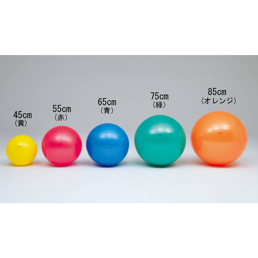 ボディーボール 青 65cm （中）