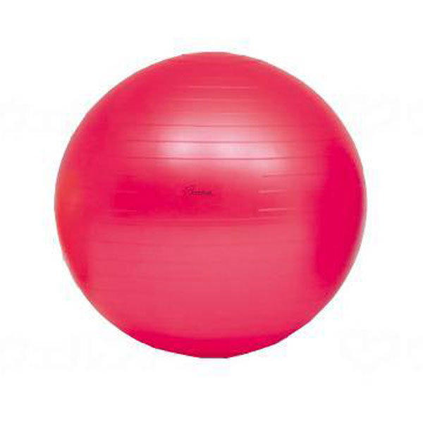 ボディーボール 赤 55cm (小)