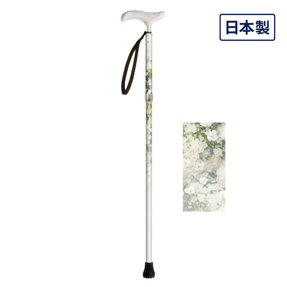 【父の日クーポン最大10%OFF】ピクチャレスク フラワー コレクション