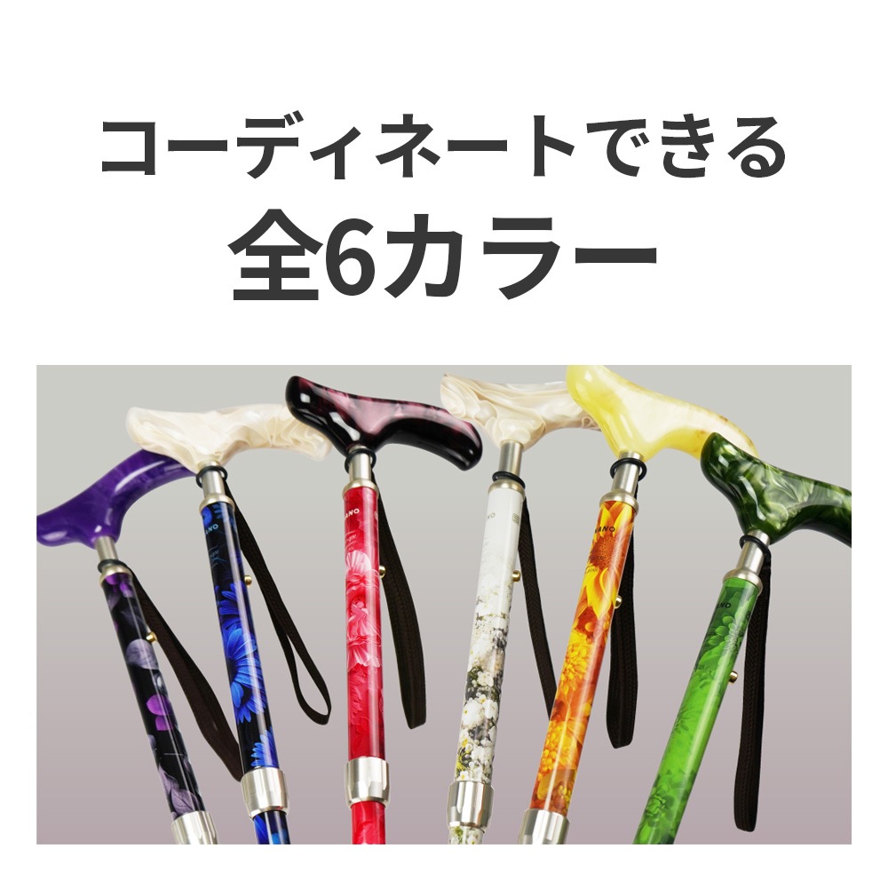 【父の日クーポン最大10%OFF】ピクチャレスク フラワー コレクション