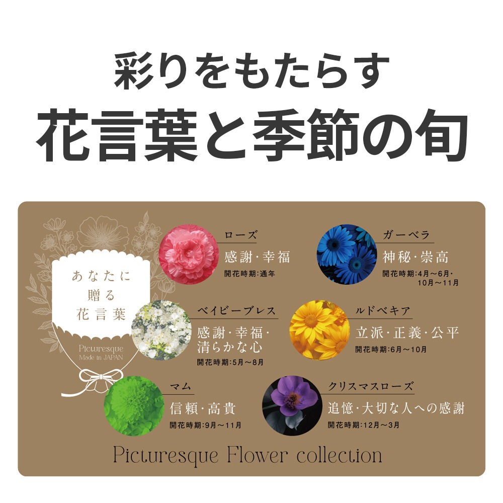 【父の日クーポン最大10%OFF】ピクチャレスク フラワー コレクション