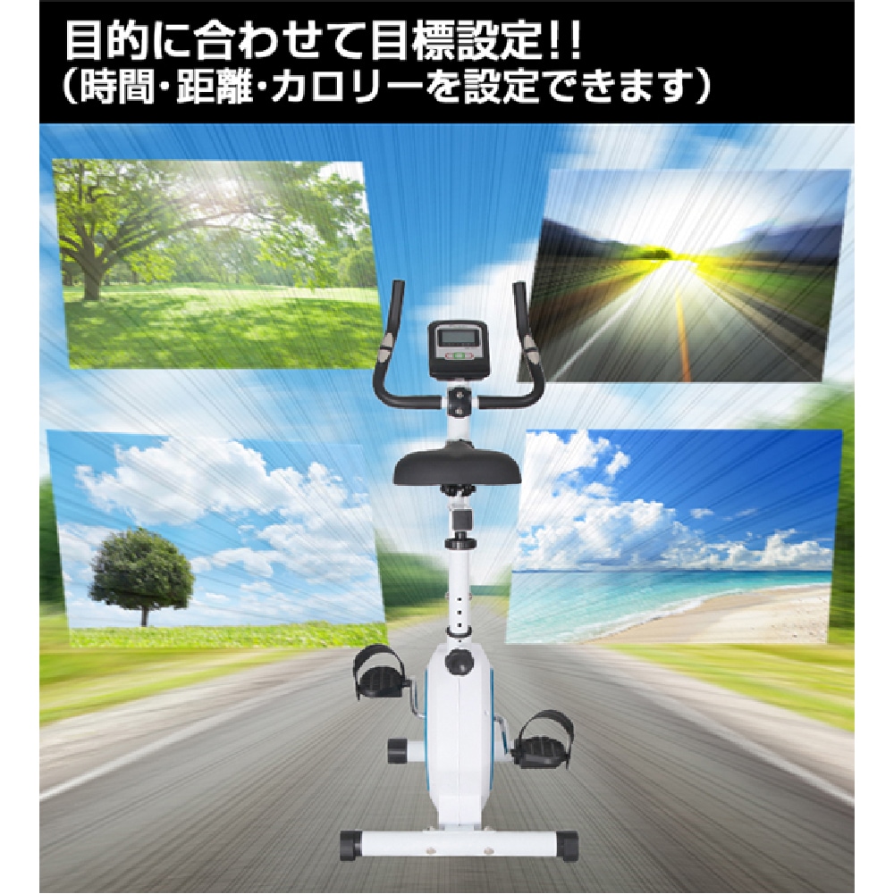 【ダイコー】家庭用アップライトバイク(手動負荷方式)DK-8310 【1000円OFFクーポン対象】