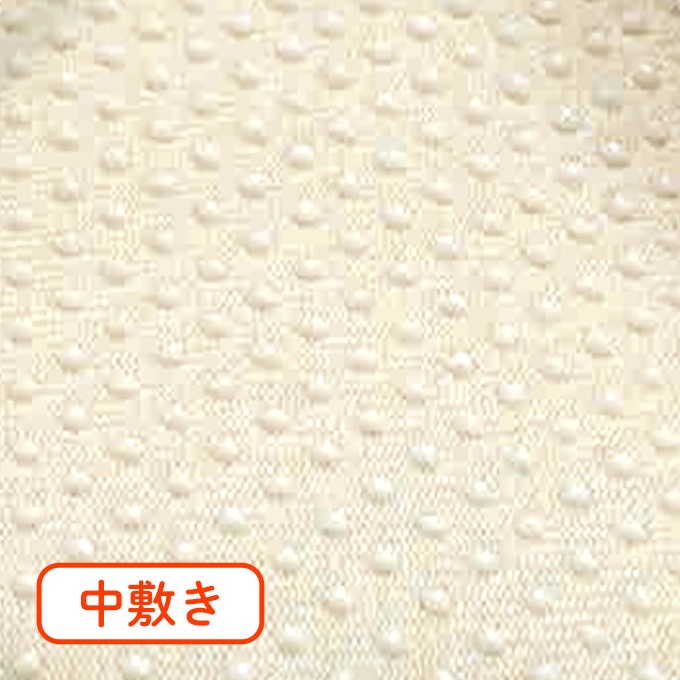 転倒予防シューズ 室内専用 つま先つき うぐいす