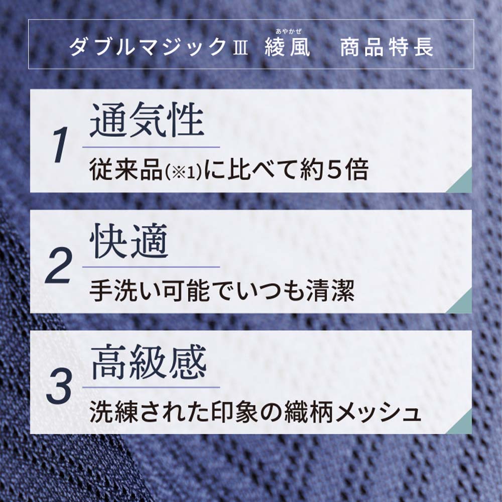 あゆみ】1117 ダブルマジック3 綾風（あやかぜ）3E ｜ 介護靴