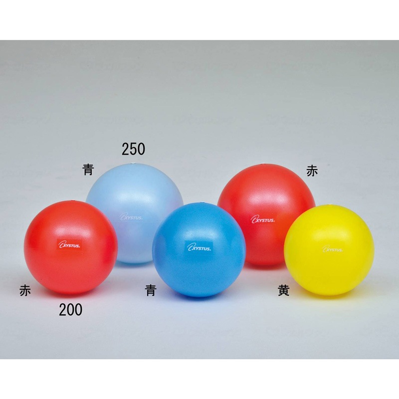 青 Physio Roll Plus バランスボール 青 Physio Roll Plus バランスボール 楽天市場】ギムニク