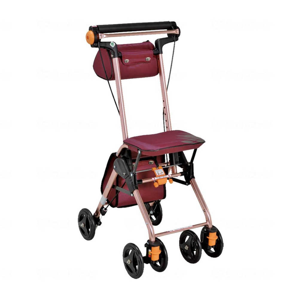 テイコブ ナノンDX ワインレッド