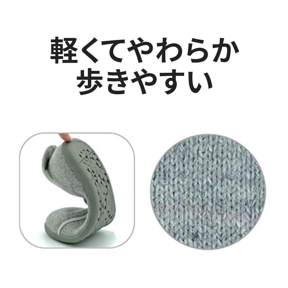 【室内専用】快歩主義L168RS