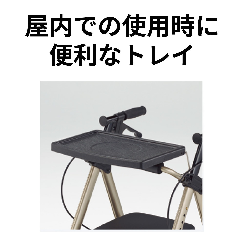 【母の日クーポン対象】アルコーステラ トレイ付