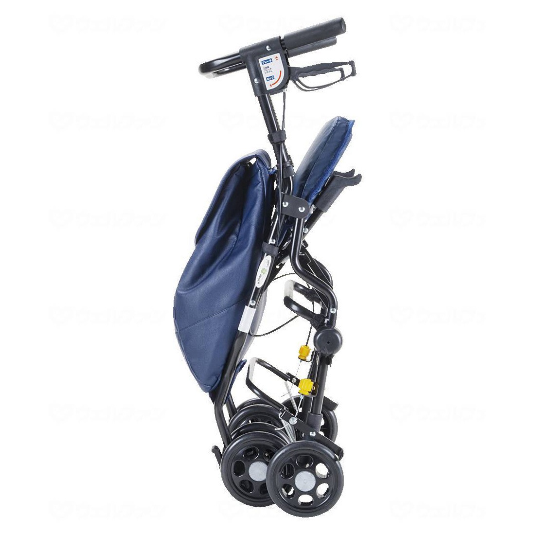 アンティ　ネイビー