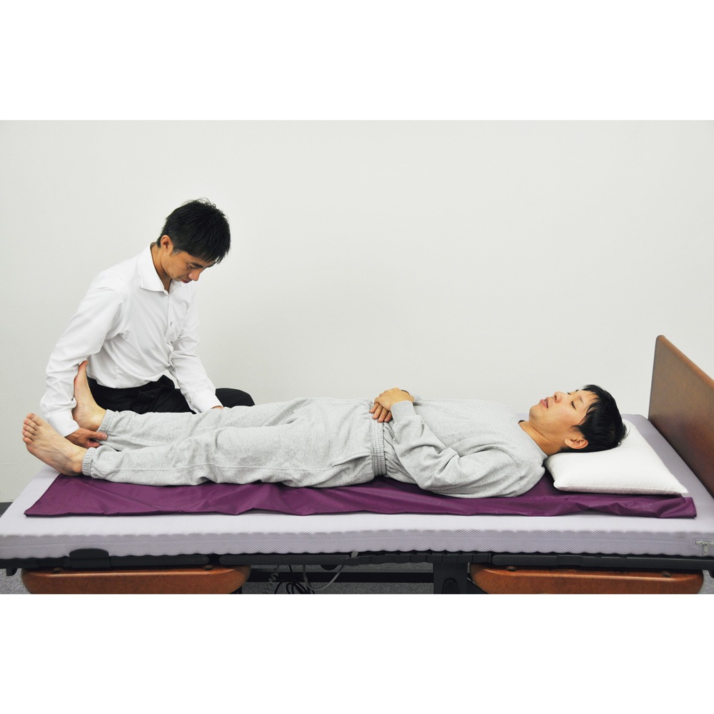 【母の日クーポン対象】トランスファーシート [L]