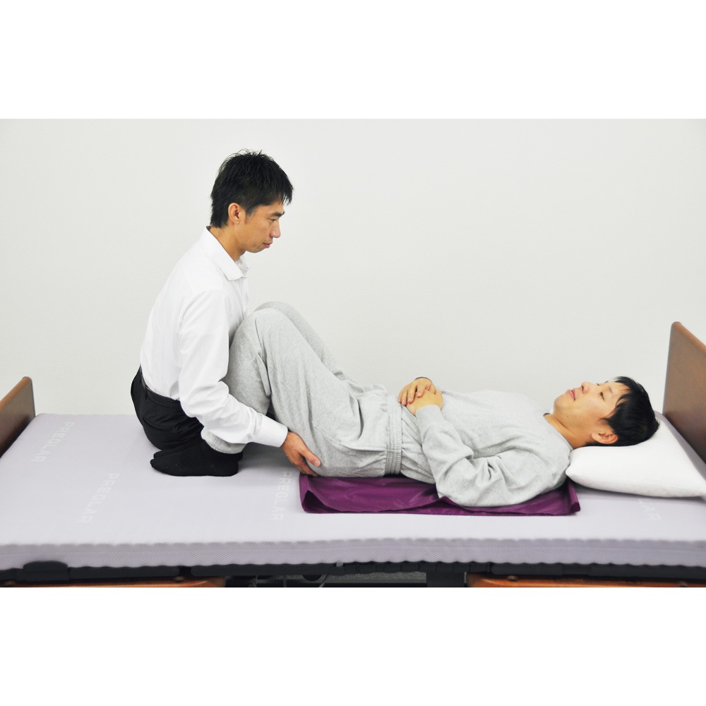 トランスファーシート [S]