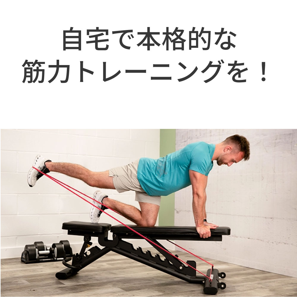 【ジョンソン】HORIZON 家庭用ストレングス HomeGym HBN50　