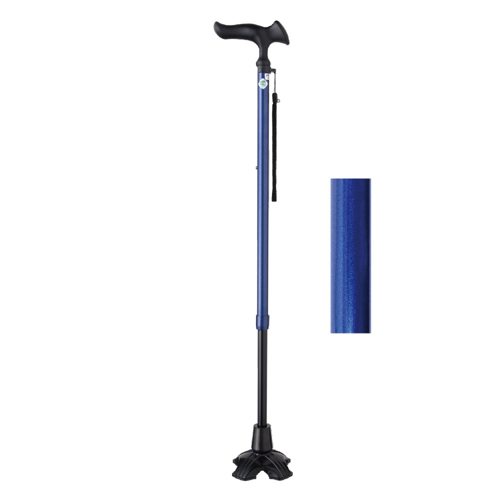 かるがもE4点DX ブルー