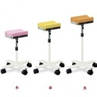 ڥС֥륯åۥȥ५ȡʥ㥹ա