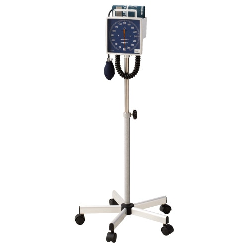 緿ͥɷ찵סʥɷNo.542   ֥롼