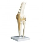 �����ԡ�ɨ��ɪ�����ǥ�ɨ�����ǥ�A82   12��12��34cm