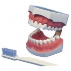 �����ٸ��Ѿ��ʡۻ��᤭��Ƴ���Ϸ� ���ץ���� ���֥饷��2����