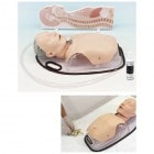  �ڥ��ץ�����ʡ���������۷дɱ��ܥ��ߥ�졼�� ������ �ޥ���������� 