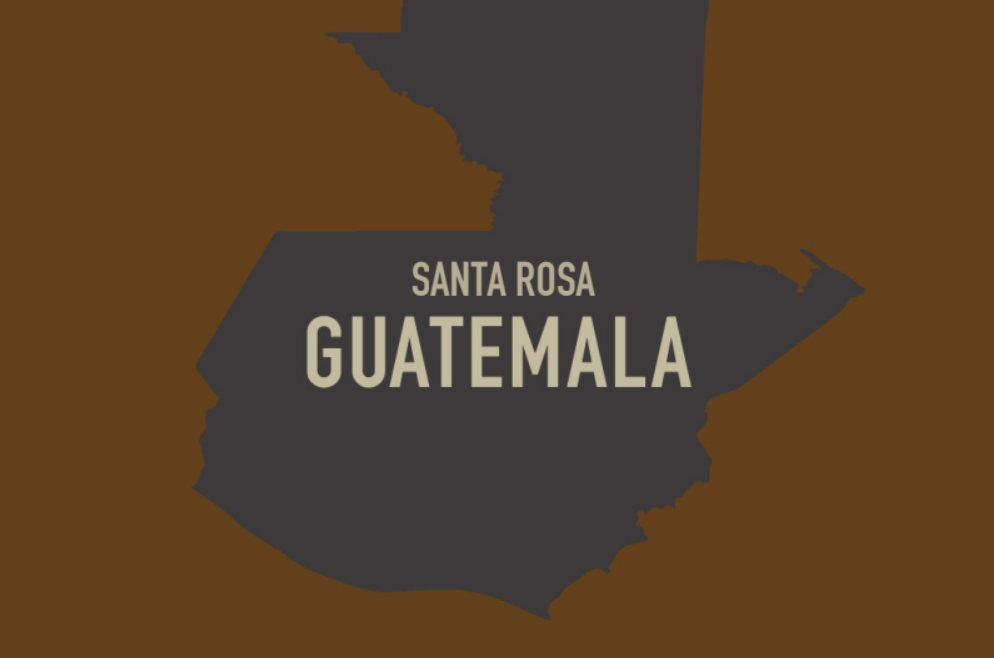 グアテマラ サンタロッサ シティロースト(100g~300g)