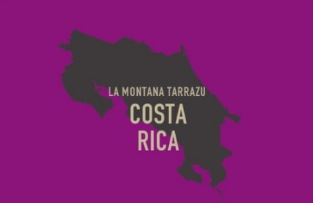 コスタ リカ ラ・モンターニャ タラス ミディアムロースト (100g~300g)