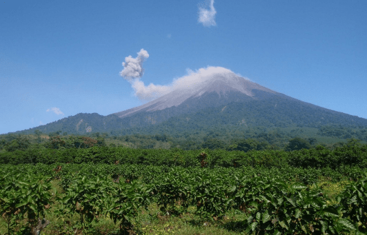 グアテマラ サンタロッサ シティロースト(100g~300g)