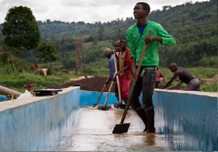 ブルンジ ルゴリ ミディアムロースト(100g~300g）