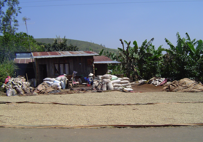 ベトナム ダラット ハイロースト(100g~300g）