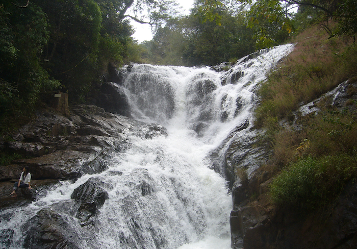 ベトナム ダラット ハイロースト(100g~300g）