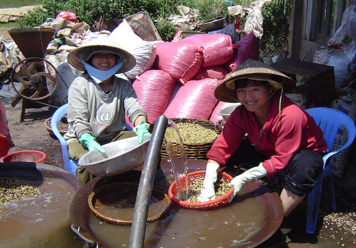 ベトナム ダラット ハイロースト(100g~300g）