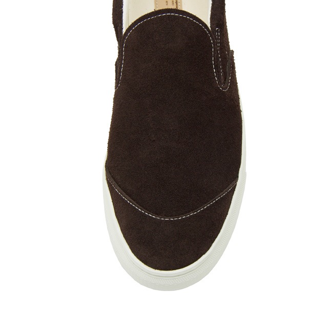 German Shepherd Low Brown