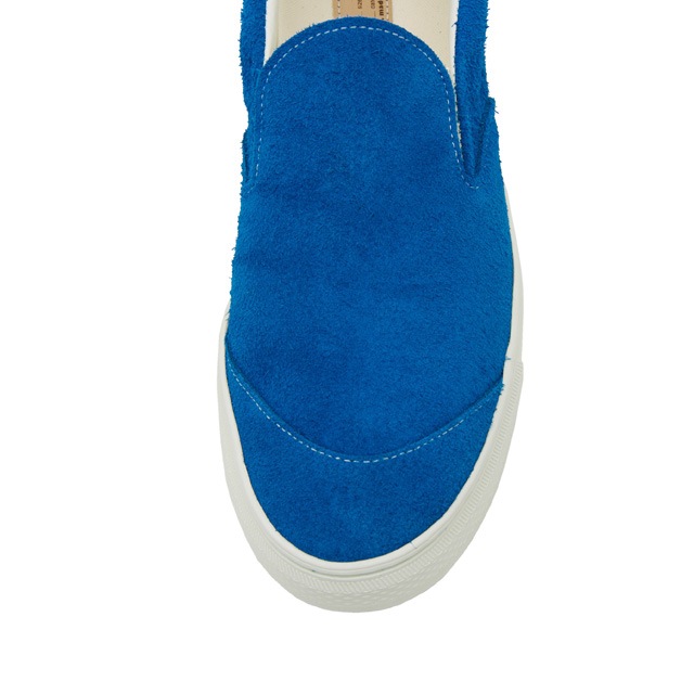 German Shepherd Low Blue