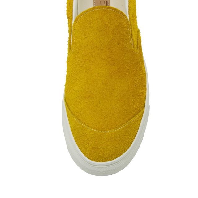 German Shepherd Low Mustard