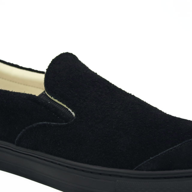 German Shepherd Low Night