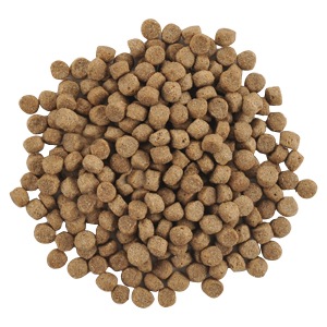 【セット売り】ナチュラルハーベスト ベーシックフォーミュラ メンテナンス 3.1kg×2 大粒 【成犬/シニア/真空/ナチュラル】